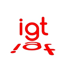 Logo des Instituts für Geometrie und Topogie und sein Spiegelbild